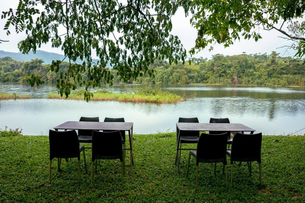 The Nest Thattekad Thattakad Экстерьер фото